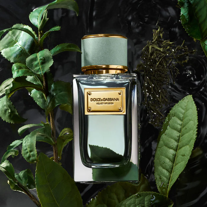 Velvet Infusion with Bergamot