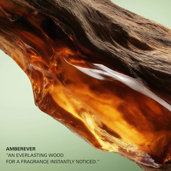 Paradigme Le Parfum with Amber & Vanilla