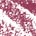 Fire - Deep Burnt Red