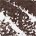 Move - deep cool brown